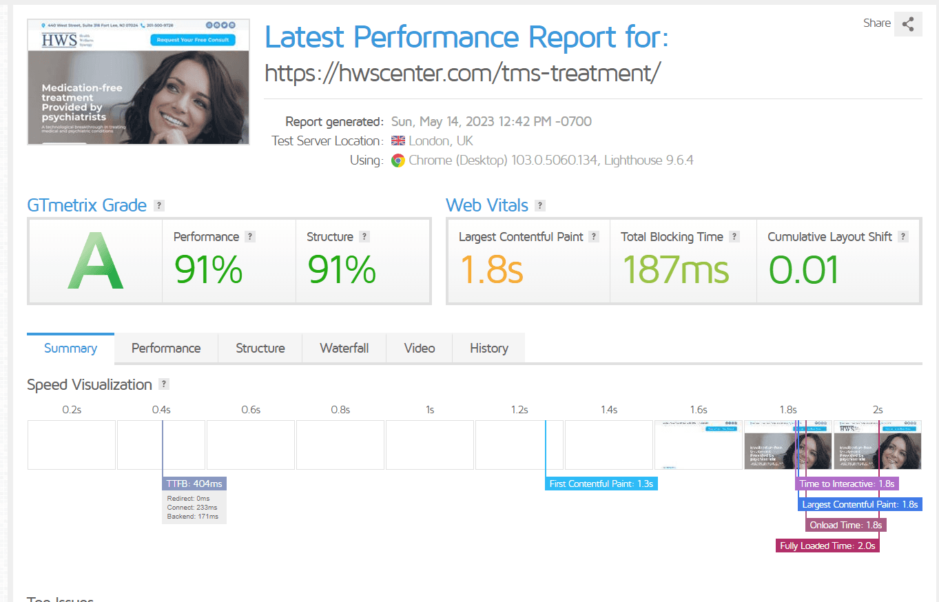 Performance report for the HWS Center website
