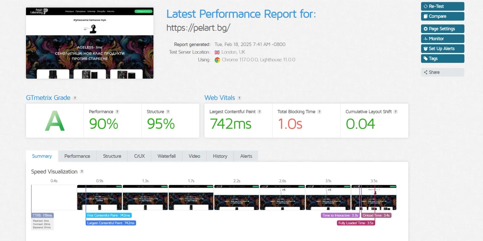 Website speed score report for the Pelart website