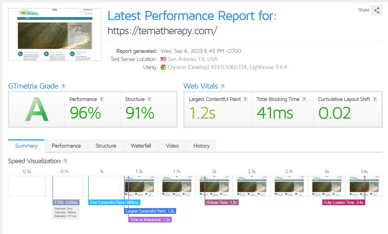 Page speed report for the TEMA Therapy website before optimization