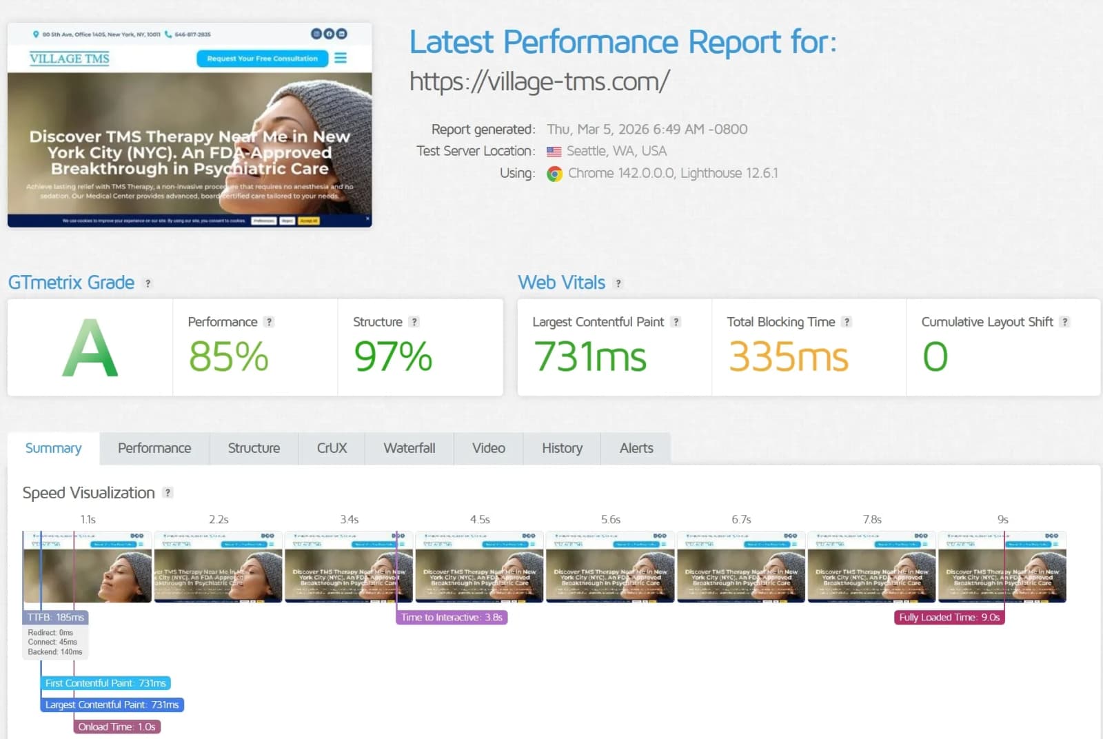 Website page speed results for the Village TMS website