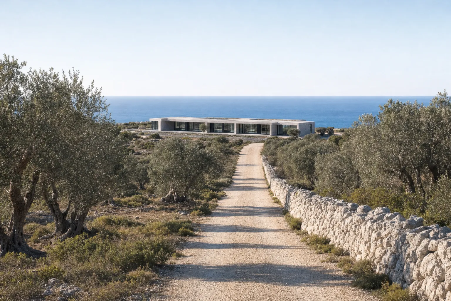 The gravel drive between olive trees and a dry-stone wall, the house ahead