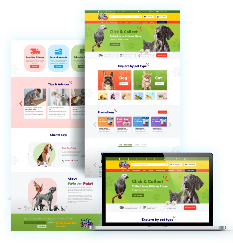 Website Showcase 3