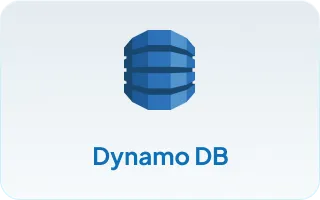 dynamo db full